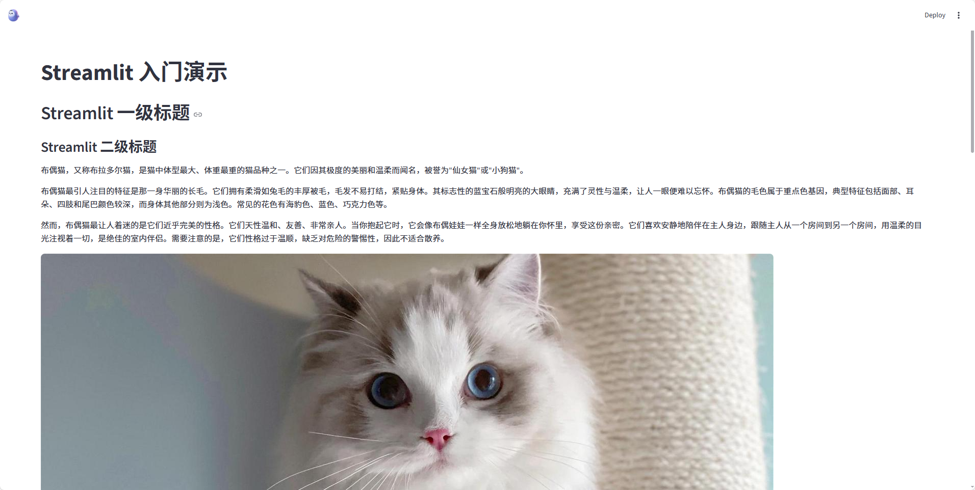 运行结果